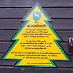 Waldhaus Wolfsbachmuehle * Hohegeiß