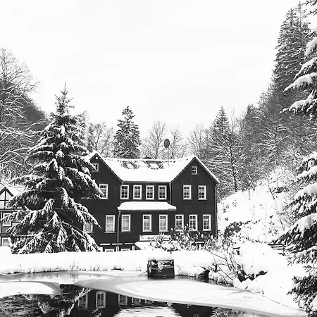 Waldhaus Wolfsbachmuehle