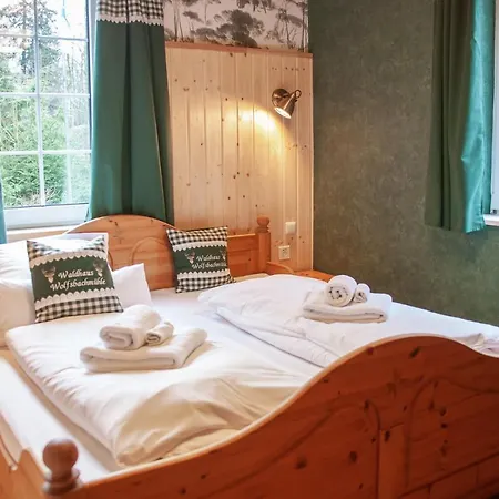 Waldhaus Wolfsbachmuehle * Hohegeiß