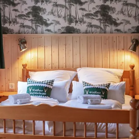 酒店 Waldhaus Wolfsbachmuehle Hohegeiß