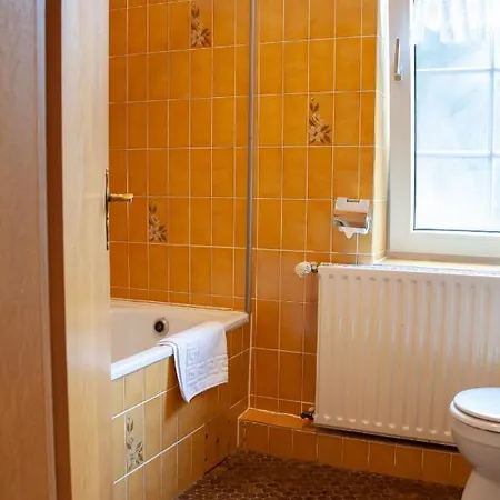 酒店 Waldhaus Wolfsbachmuehle Hohegeiß