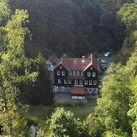 Hotel Waldhaus Wolfsbachmuehle *