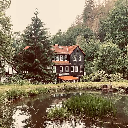 Waldhaus Wolfsbachmuehle فندق Hohegeiß