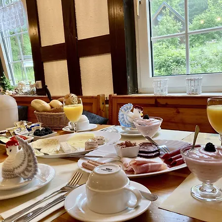 Waldhaus Wolfsbachmuehle Hohegeiß