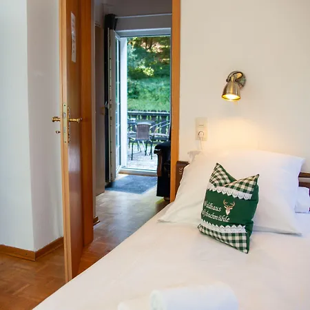 Waldhaus Wolfsbachmuehle * Hohegeiß