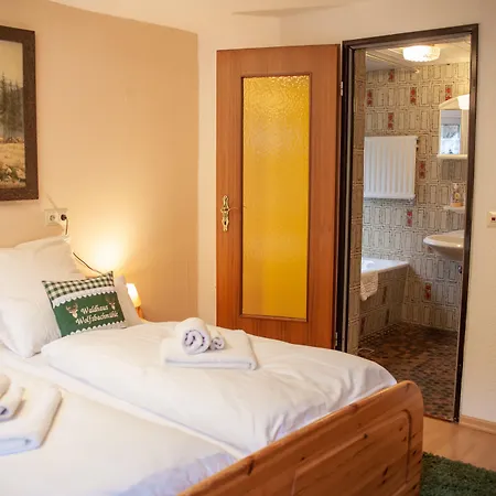 Waldhaus Wolfsbachmuehle Hohegeiß