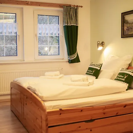 酒店 Waldhaus Wolfsbachmuehle Hohegeiß