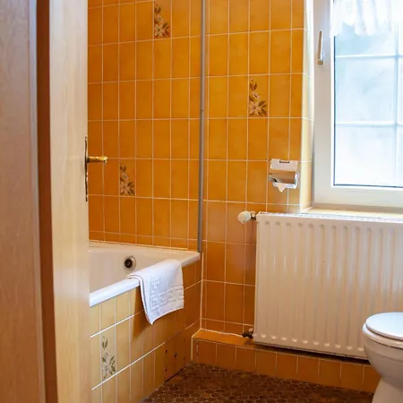 酒店 Waldhaus Wolfsbachmuehle Hohegeiß