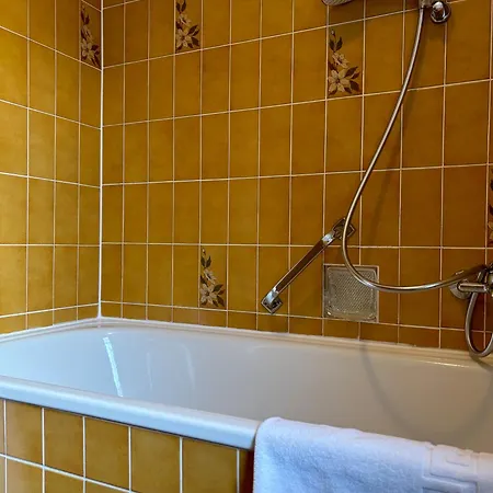 Waldhaus Wolfsbachmuehle 酒店 *