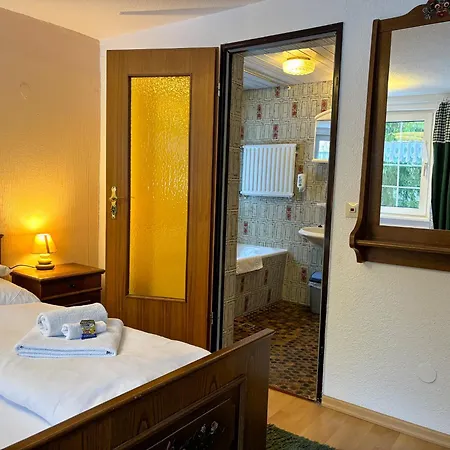 Waldhaus Wolfsbachmuehle 酒店 *