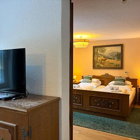 酒店 Waldhaus Wolfsbachmuehle Hohegeiß