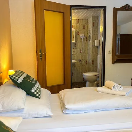 Waldhaus Wolfsbachmuehle Hohegeiß