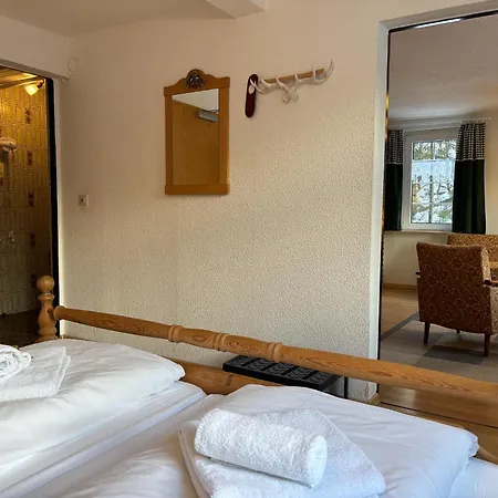 Waldhaus Wolfsbachmuehle 酒店