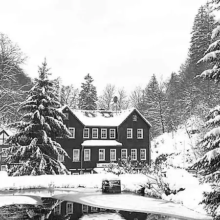 Hotel Waldhaus Wolfsbachmuehle