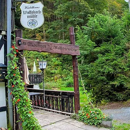 Hotel Waldhaus Wolfsbachmuehle *