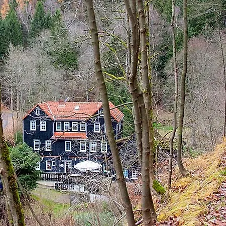 Waldhaus Wolfsbachmuehle Hotel