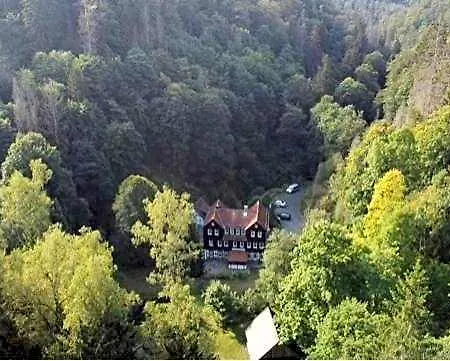 Waldhaus Wolfsbachmuehle Hotel Hohegeiss