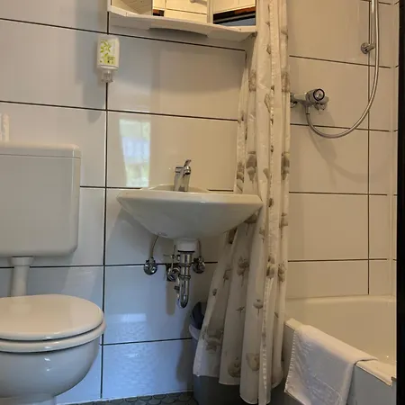 Waldhaus Wolfsbachmuehle Otel Hohegeiß