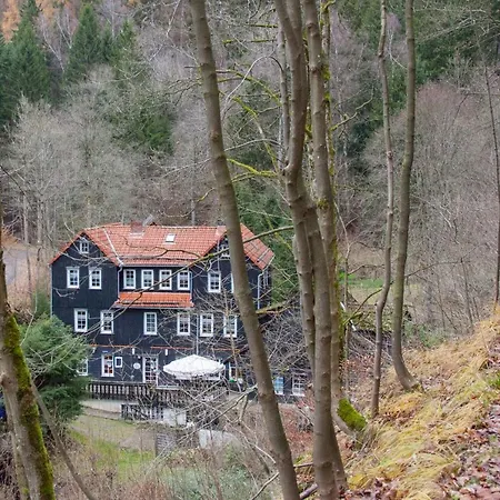 Waldhaus Wolfsbachmuehle Hohegeiß